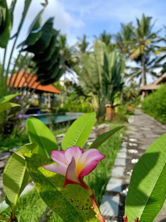 Taman Bintang Villa Ubud Экстерьер фото